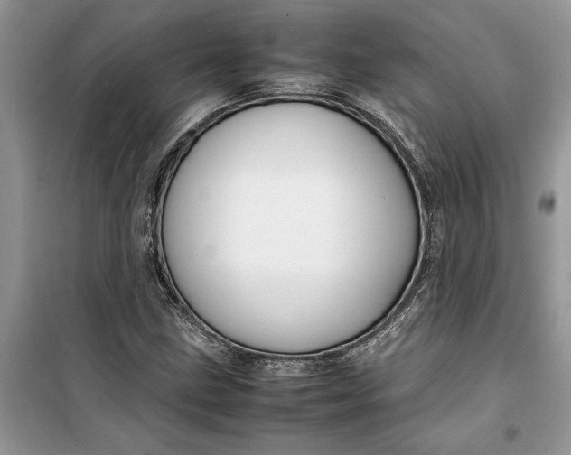 X0000099511211200805291142