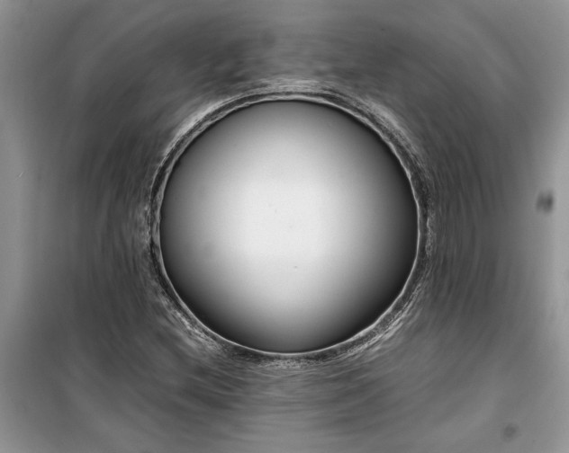 X0000099511212200805291142