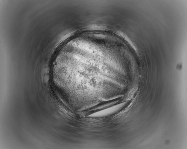 X0000099511213200805291142