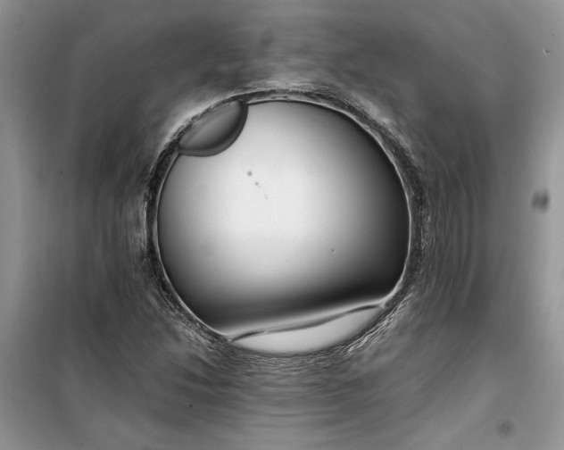 X0000099511214200805291142