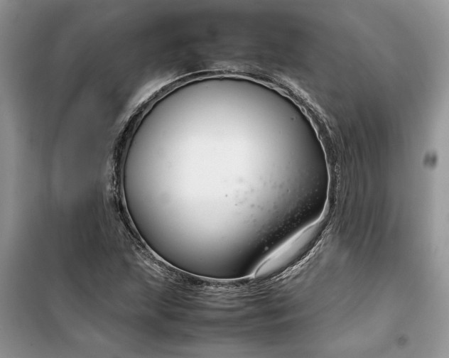 X0000099511215200805291142