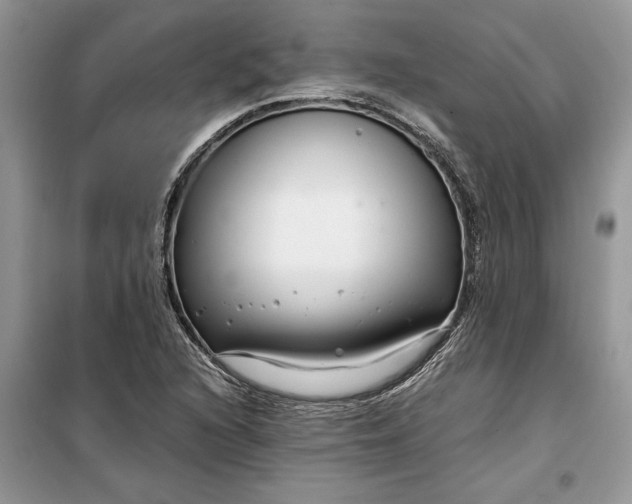 X0000099511216200805291142