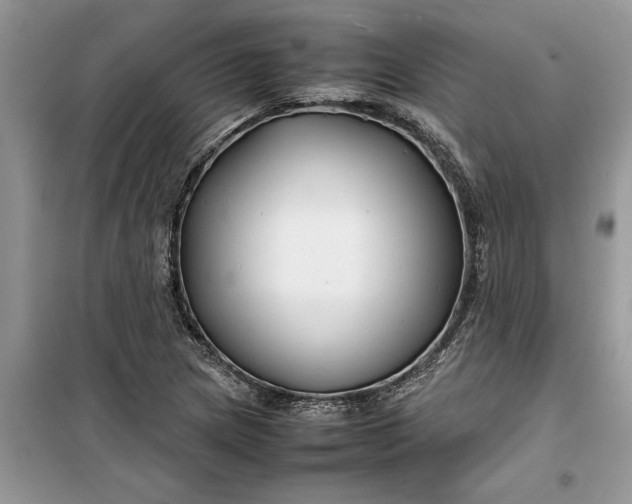 X0000099511217200805291142