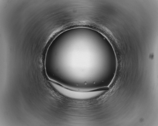 X0000099511218200805291142