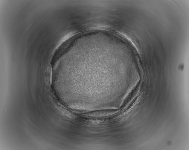 X0000099511219200805291142