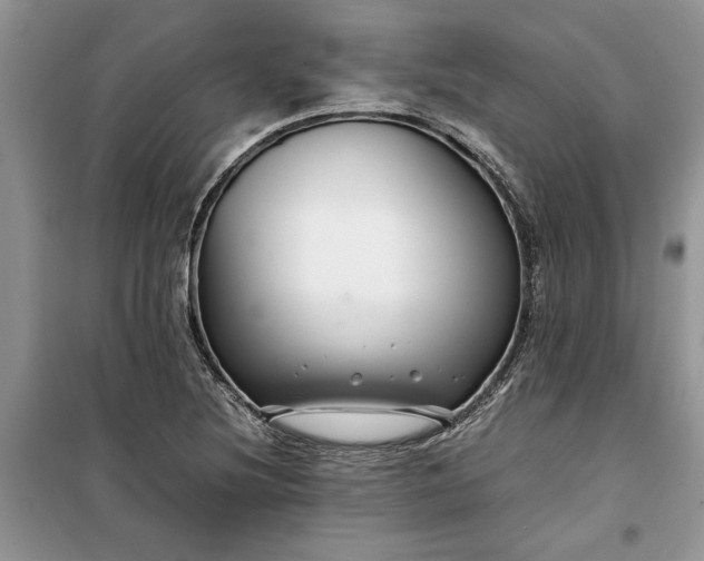 X0000099511220200805291142