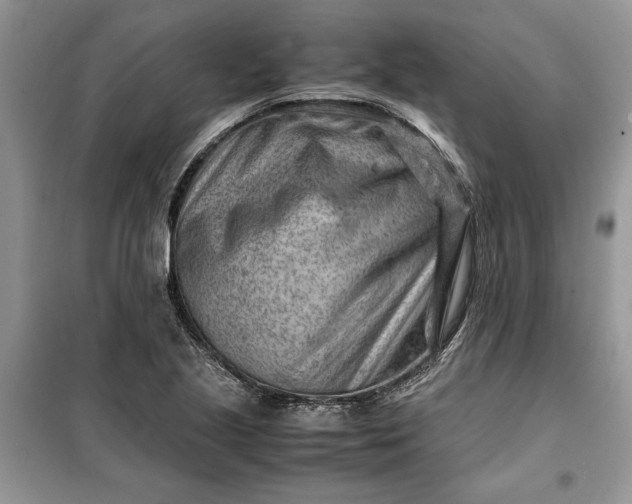 X0000099511221200805291142