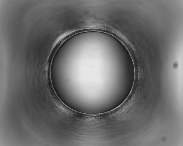 X0000099511222200805291142