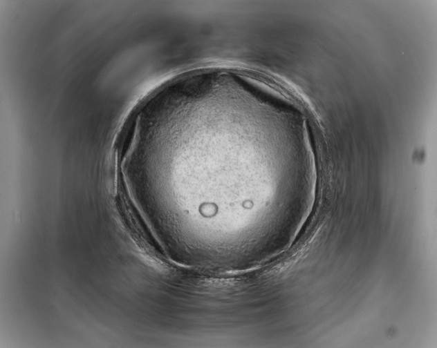 X0000099511223200805291142