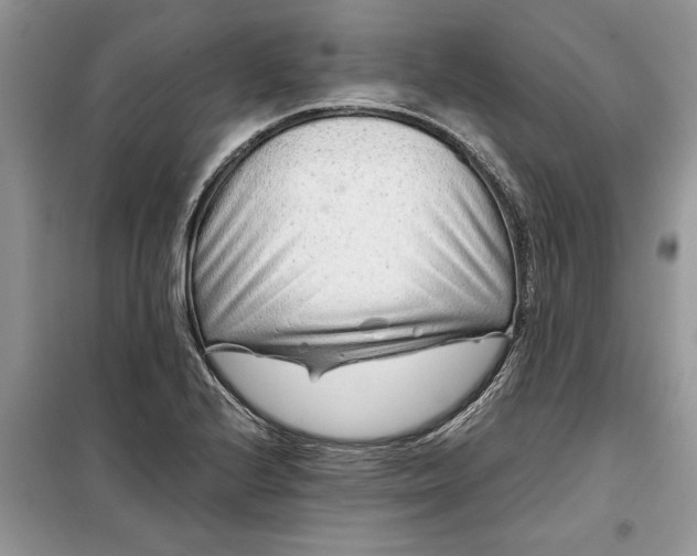 X0000099511224200805291142