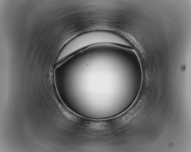 X0000099511225200805291142