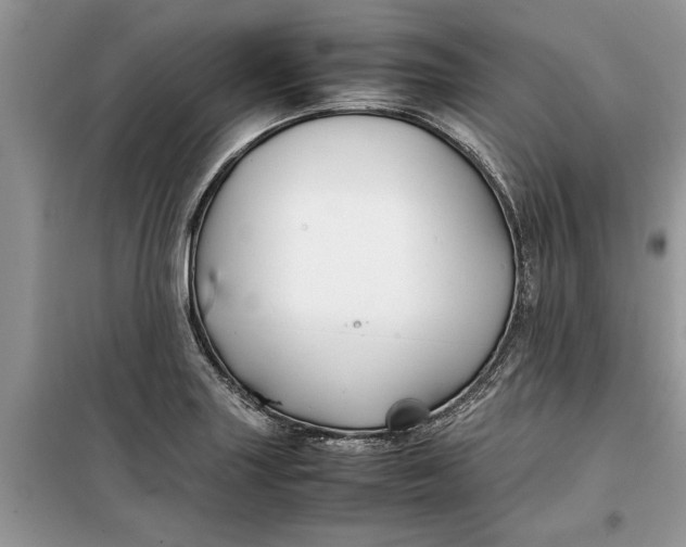 X0000099511227200805291142