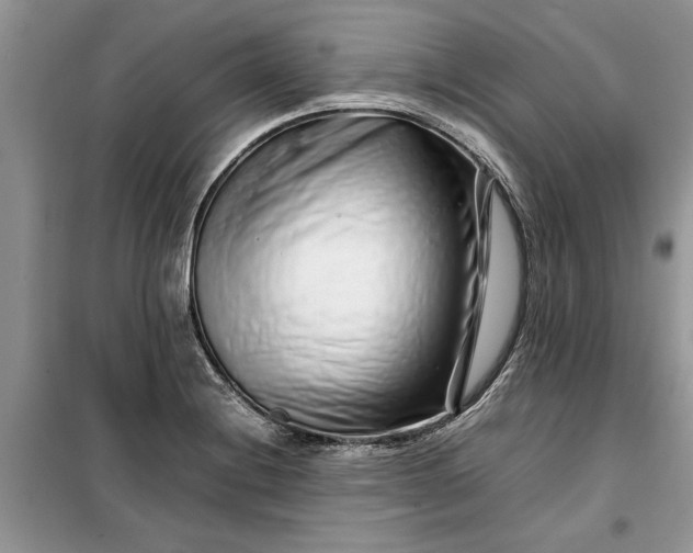 X0000099511228200805291142