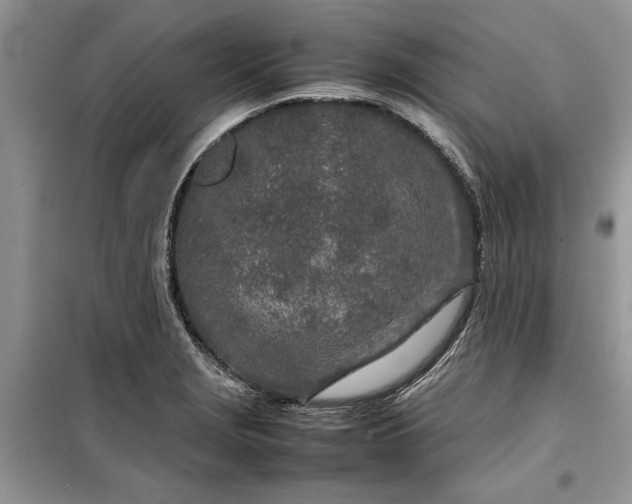 X0000099511229200805291142