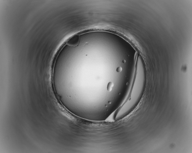 X0000099511232200805291142