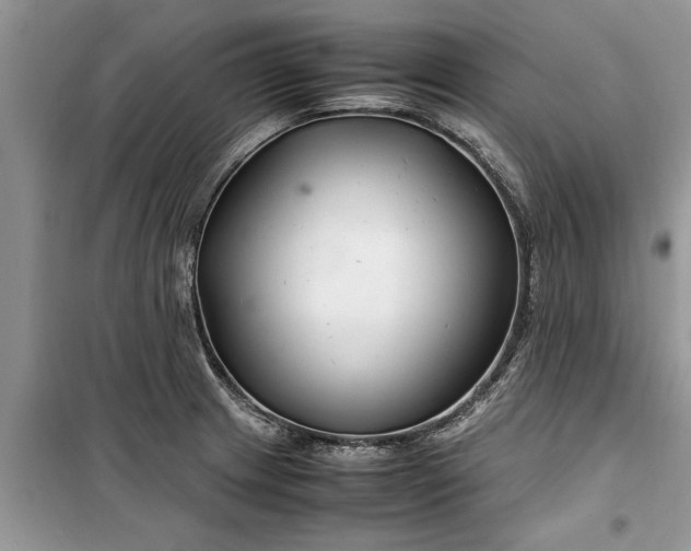 X0000099511233200805291142