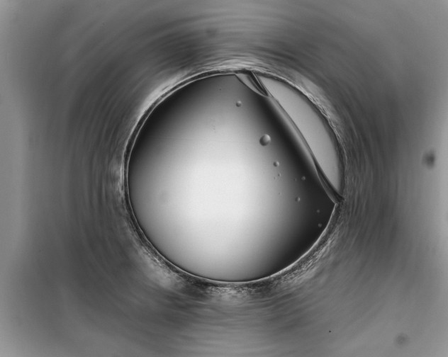 X0000099511234200805291142