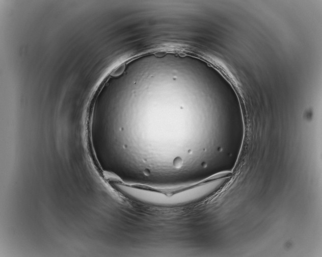 X0000099511235200805291142