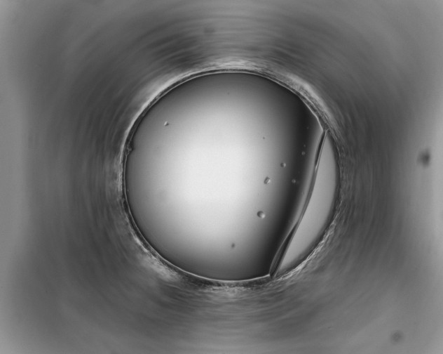 X0000099511236200805291142