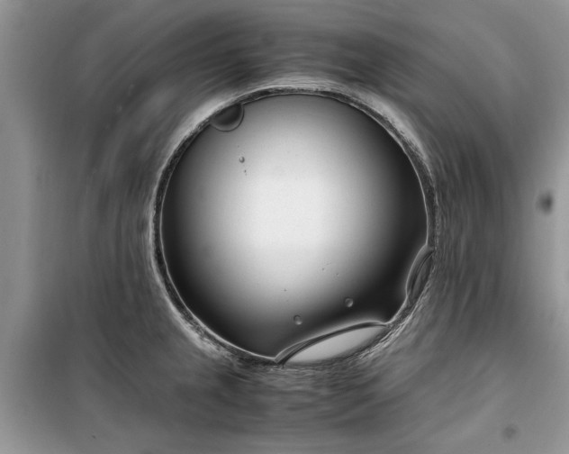 X0000099511237200805291142