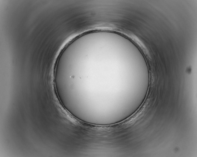 X0000099511240200805291142