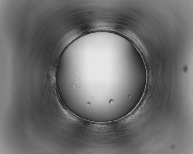 X0000099511241200805291142