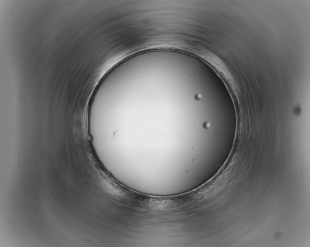 X0000099511242200805291142