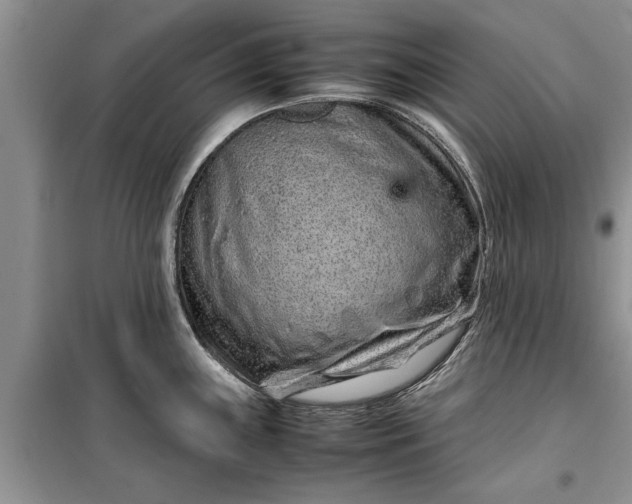 X0000099511243200805291142