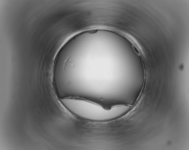 X0000099511244200805291142