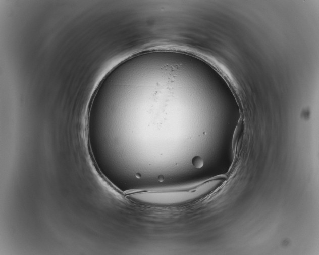 X0000099511247200805291142