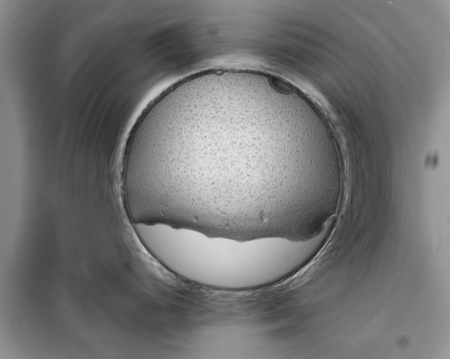 X0000099511248200805291142