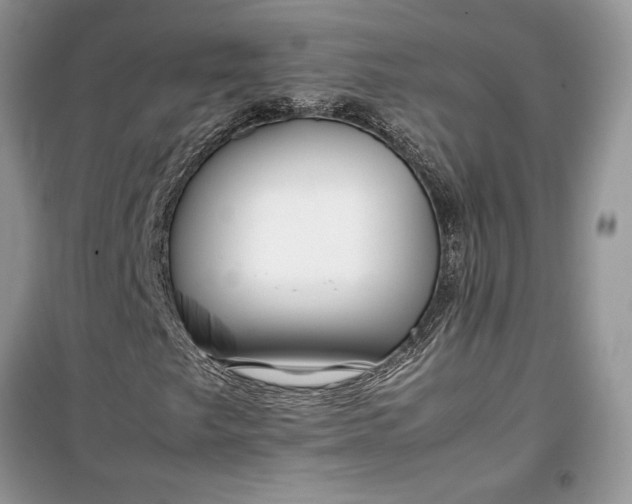 X0000099511249200805291141