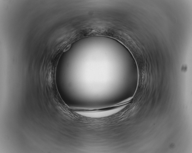 X0000099511250200805291141