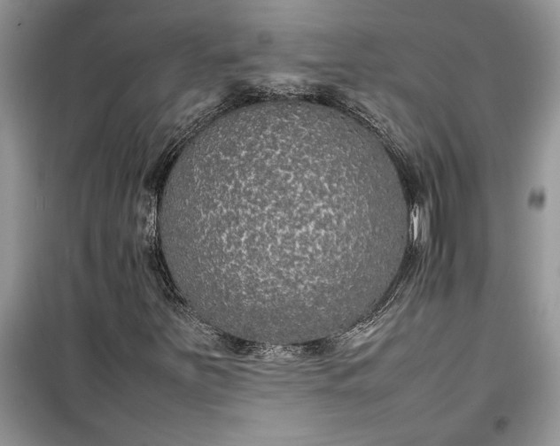 X0000099511251200805291141