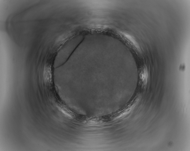 X0000099511252200805291141