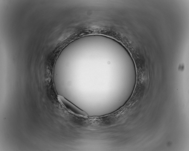 X0000099511253200805291141