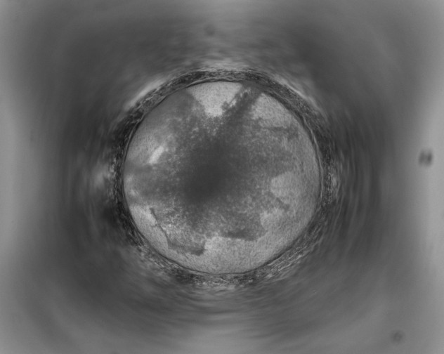 X0000099511254200805291141