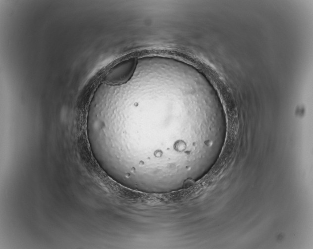 X0000099511255200805291141