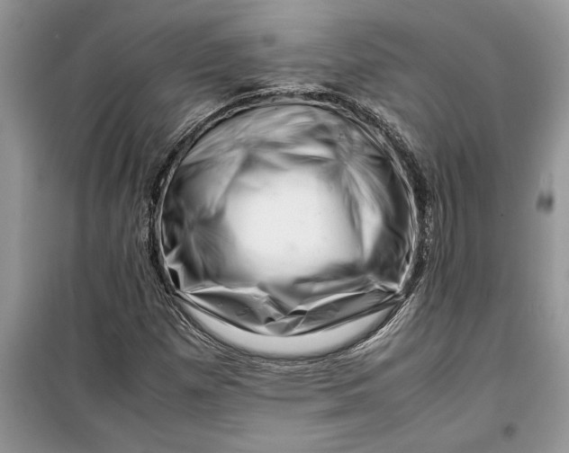 X0000099511257200805291141