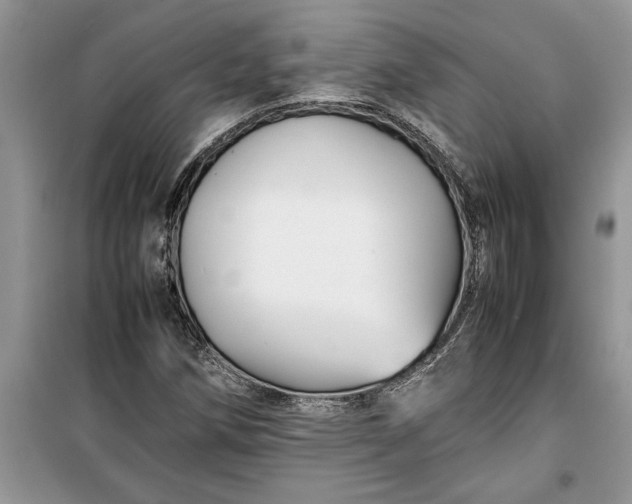 X0000099511258200805291141