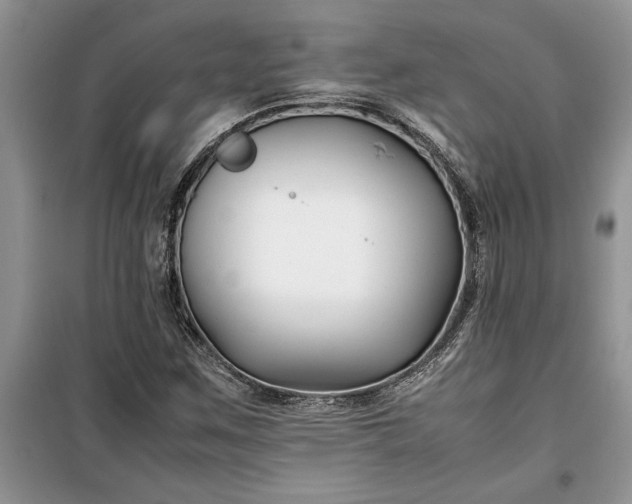 X0000099511259200805291141