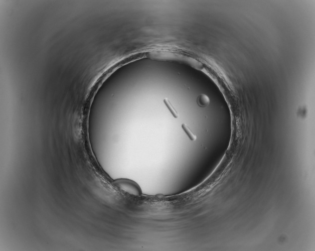 X0000099511260200805291141