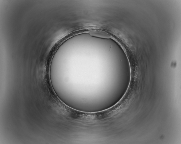 X0000099511261200805291141