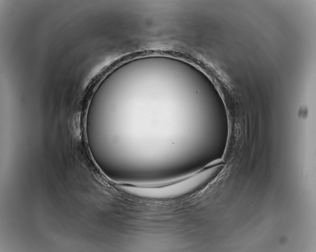 X0000099511262200805291141