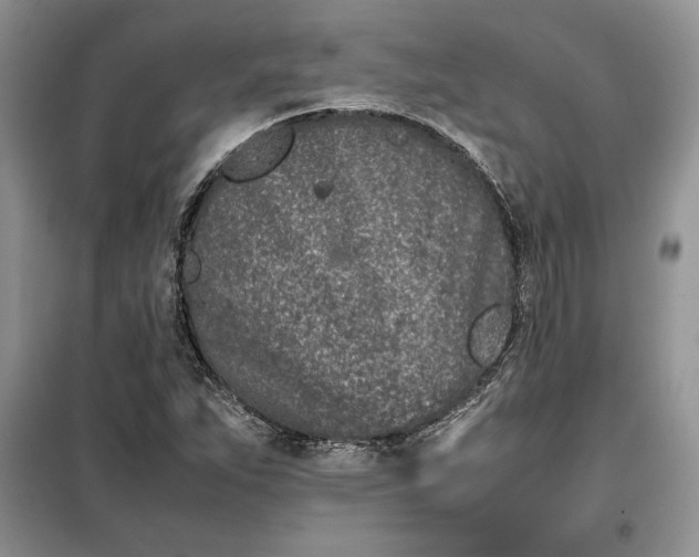 X0000099511263200805291141