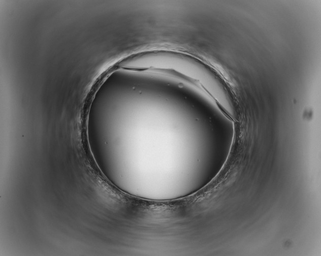 X0000099511264200805291141