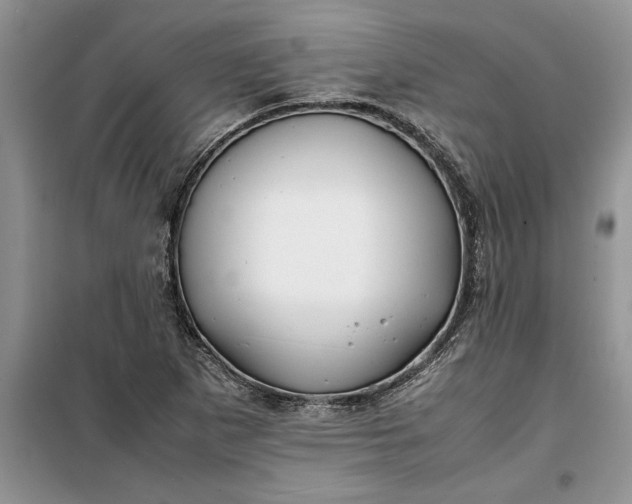 X0000099511265200805291141