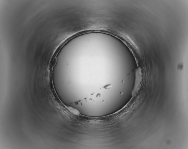 X0000099511268200805291141