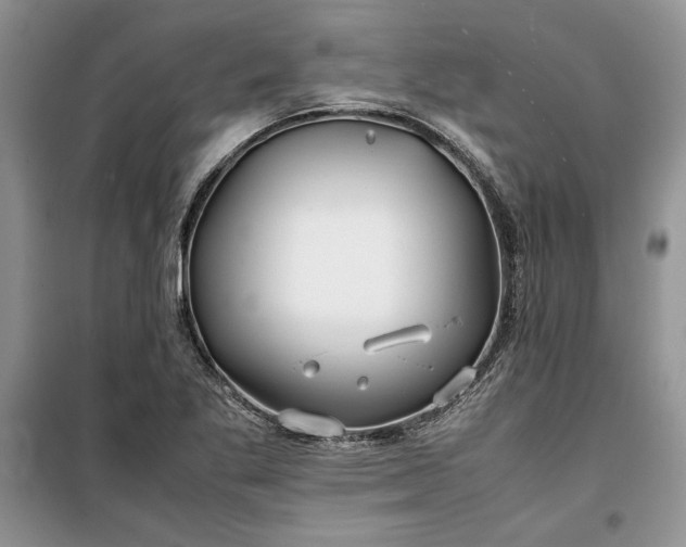 X0000099511269200805291141