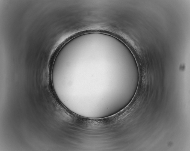 X0000099511270200805291141